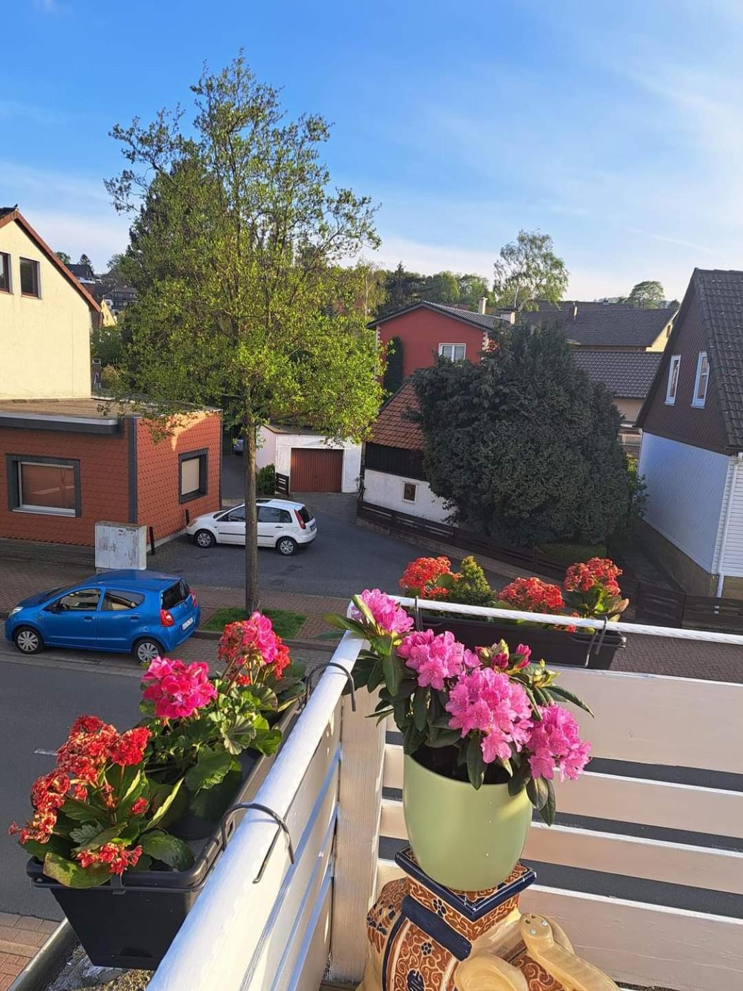 Fewo Im Harz Bad Harzburg Bagian luar foto